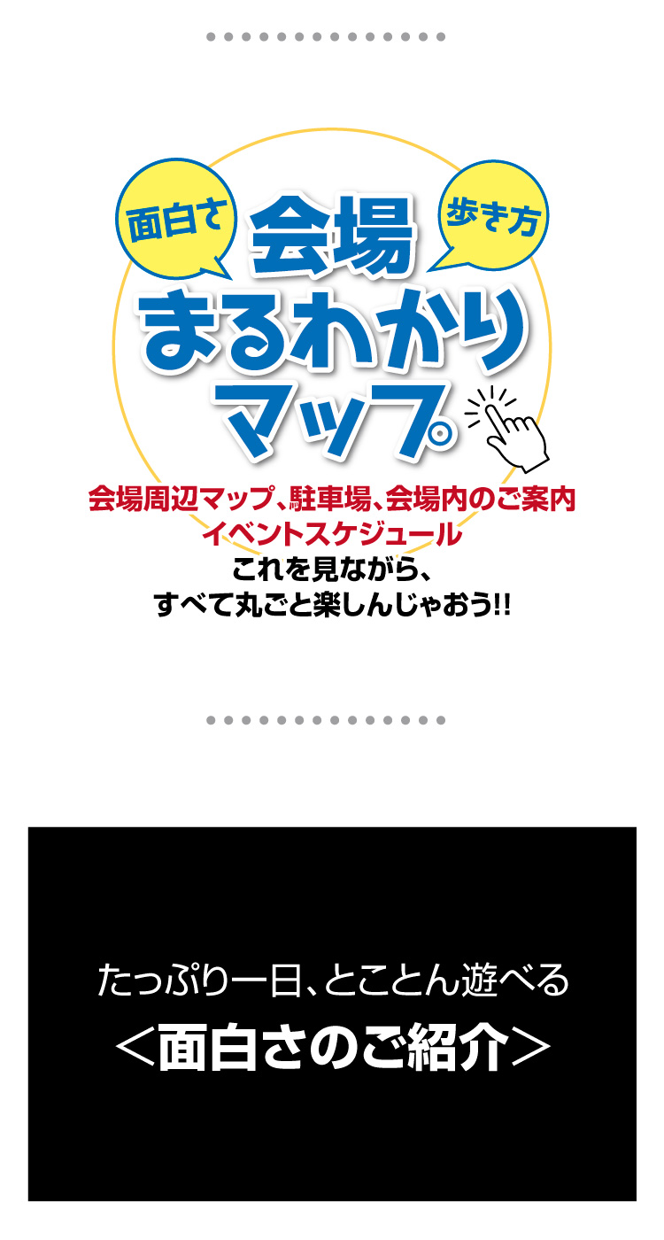 第29回,オール日産特別フェア,大展車会